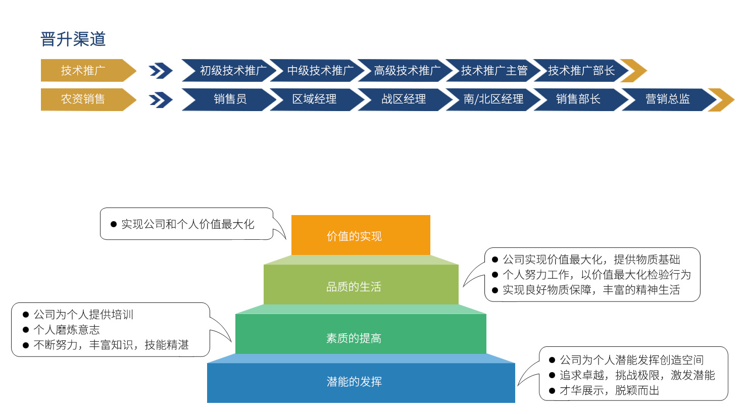 龙蟒福生